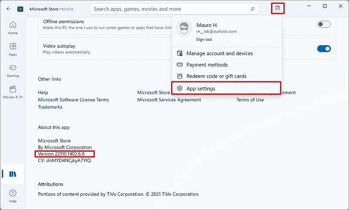 Überprüfen Sie die Microsoft Store-Version