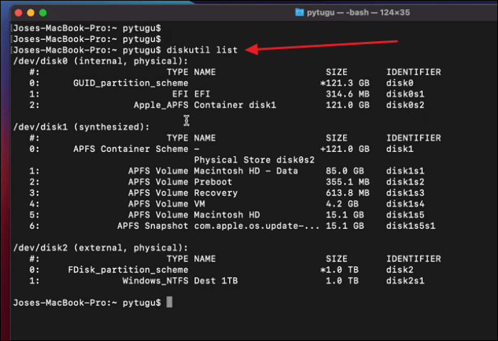 Geben Sie den Befehl im Terminal ein