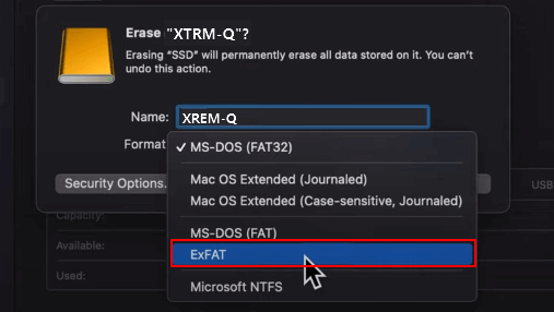 Dateisystem für die Festplatte auswählen