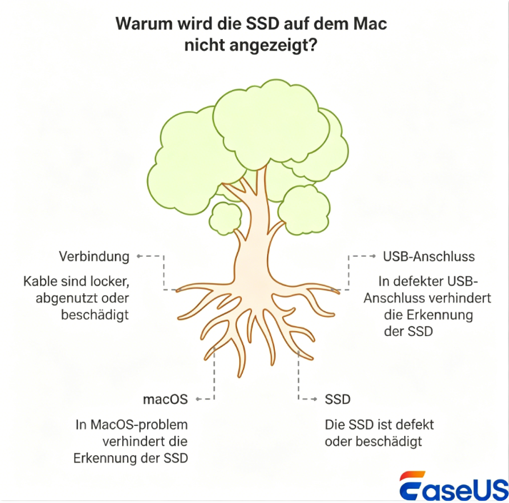 ssd-wird-nicht-erkannt-mac-ursachen