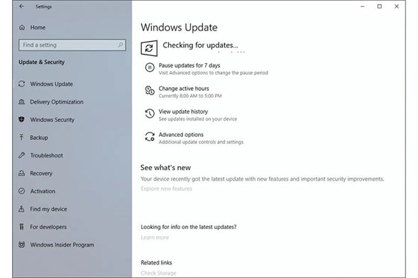Windows-Update prüfen