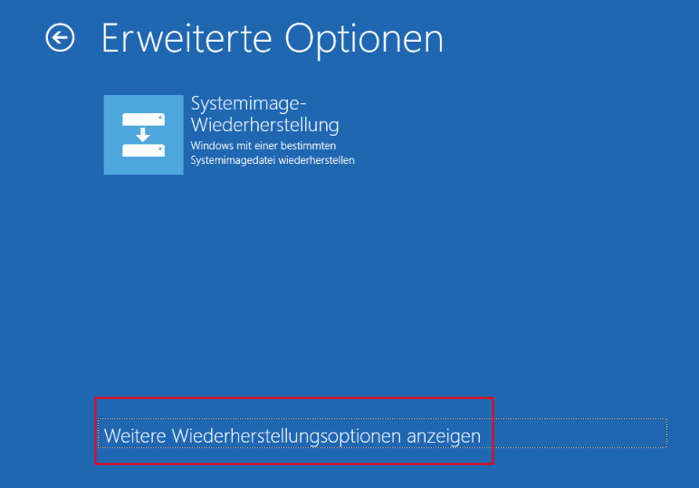 Klicken Sie auf „Weitere Wiederherstellungsoptionen anzeigen“.