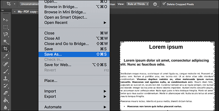 PDF in JPG umwandeln - Adobe Photoshop
