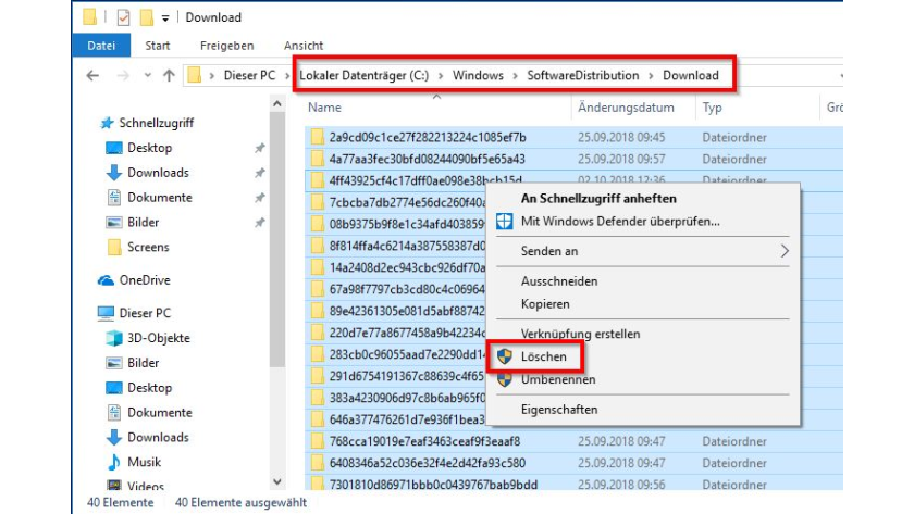 Ordner SoftwareDistribution Download löschen