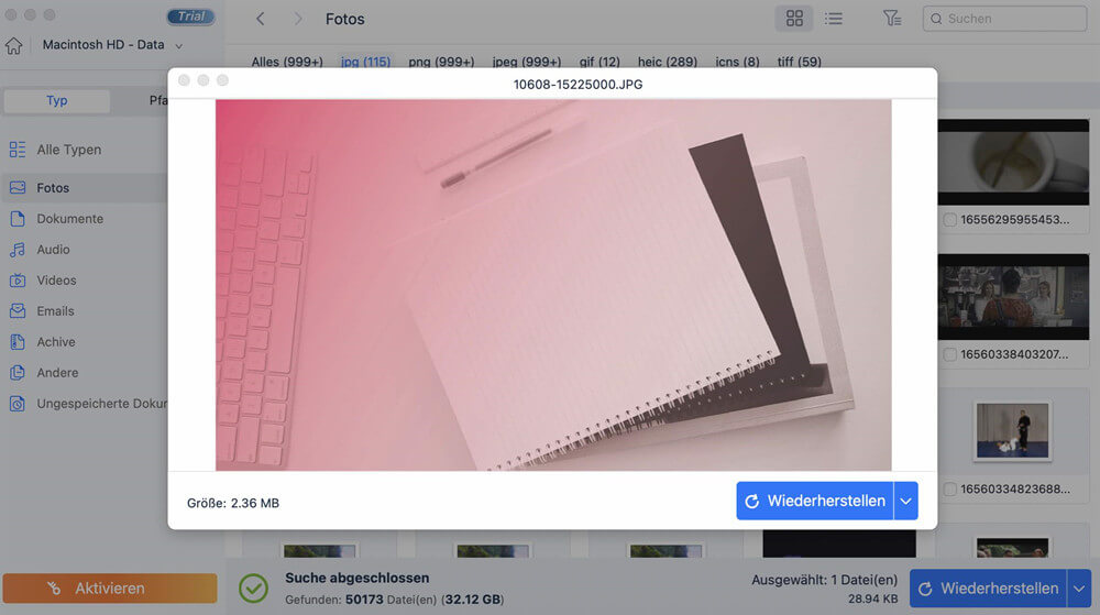 Verlorene Dokumente von neuem MacBook wiederherstellen, Vorschauen Sie die Dateien nach dem Scan