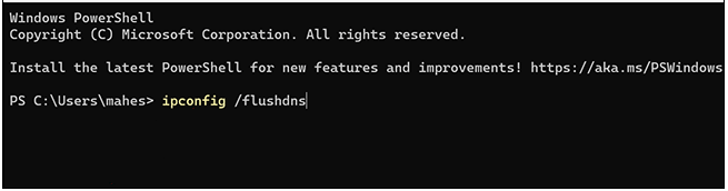 Den DNS-Cache löschen