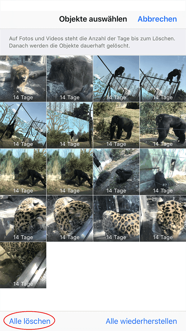 Iphone Zuletzt Geloschte Fotos Wiederherstellen Easeus