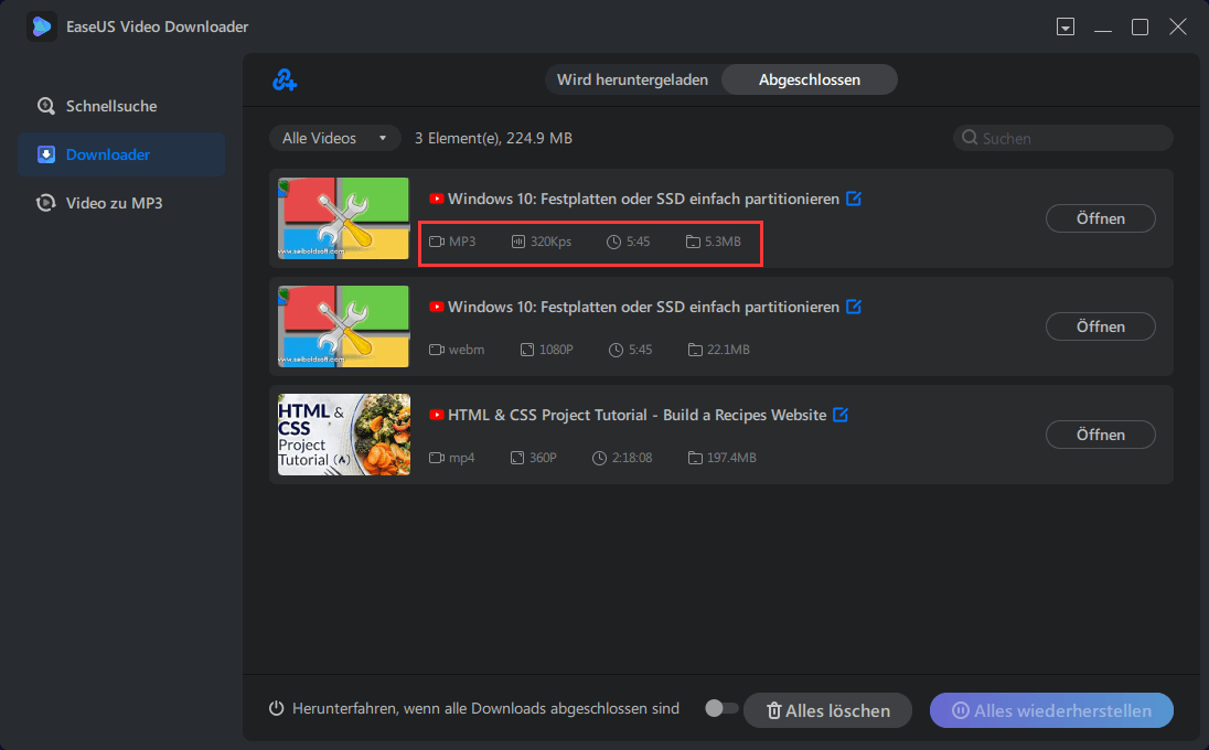 Audio von YouTube Video downloaden - Schritt 4