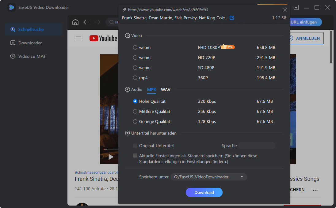 Audio von YouTube Video downloaden - Schritt 3