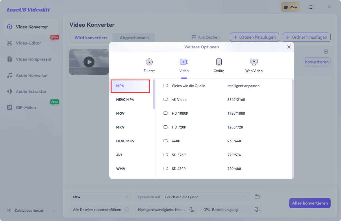 Ausgabeformat und Videoauflösung wählen