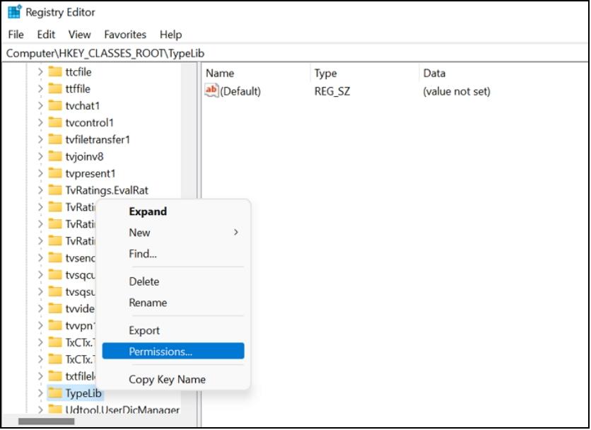 Registrierungstyplib-Berechtigung