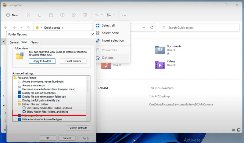 versteckte dateien anzeigen windows 11 -2