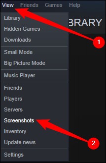 Option für Steam-Screenshots