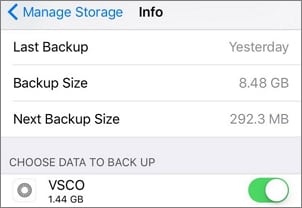 Daten der vsco-App in iCloud sichern