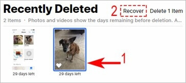 Klicken Sie auf das Foto