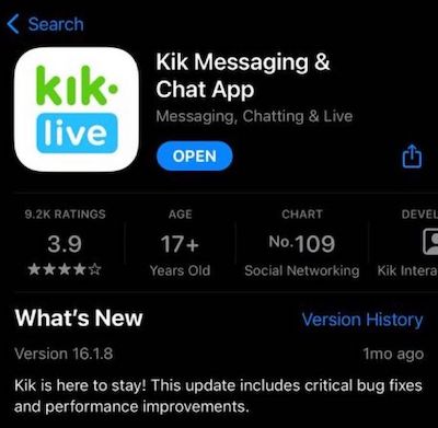 Aktualisieren Sie die Kik-Version
