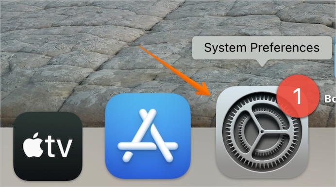 offene Systempräferenz