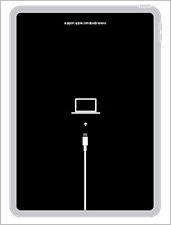 iPad-Wiederherstellungsmodus