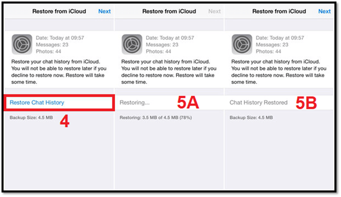 Chat-Backup wiederherstellen