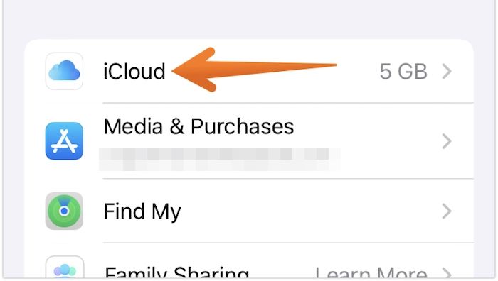 Tippen Sie auf iCloud-Option