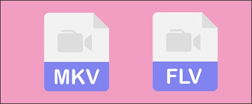 MKV vs FLV