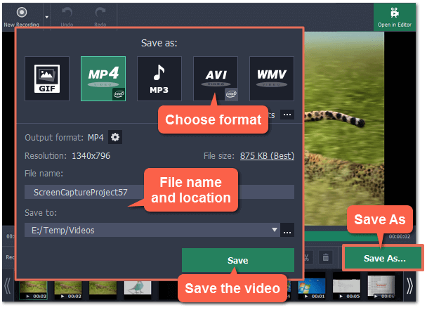 Teil des Bildschirms mit Movavi aufnehmen - Schritt 4