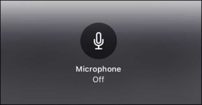 Nehmen Sie auf dem iPhone 12 ohne Audio auf