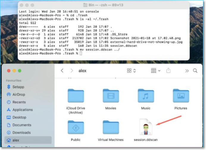 Geben Sie im Terminal quit ein