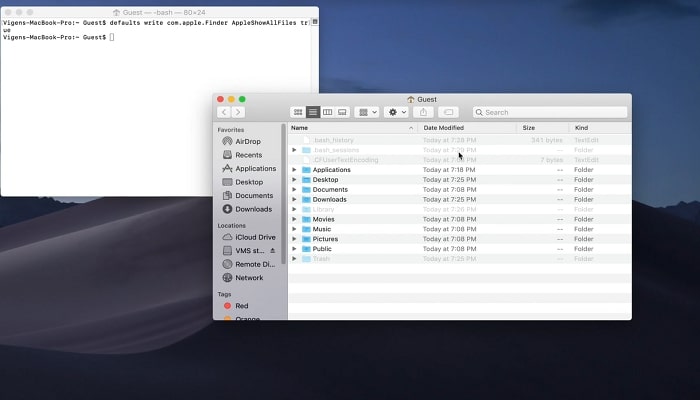 Ausblenden von Dateien im Terminal Schritt 4
