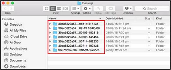 iTunes-Speicherort auf dem Mac