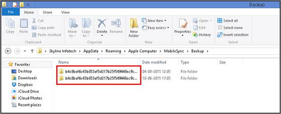 iTunes-Speicherorte unter Windows