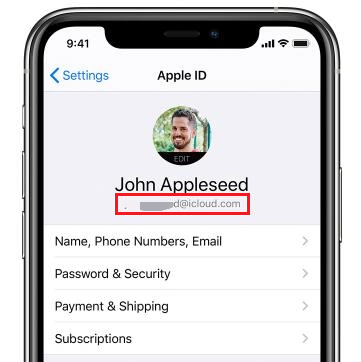 Finden Sie die Apple-ID von iCloud