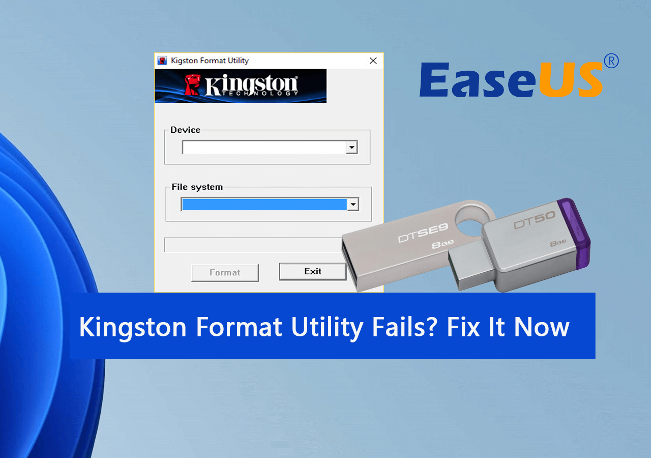 Kingston Format Utility fehlgeschlagen