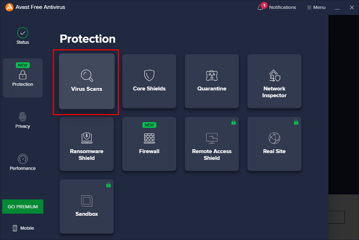 Führen Sie Avast aus