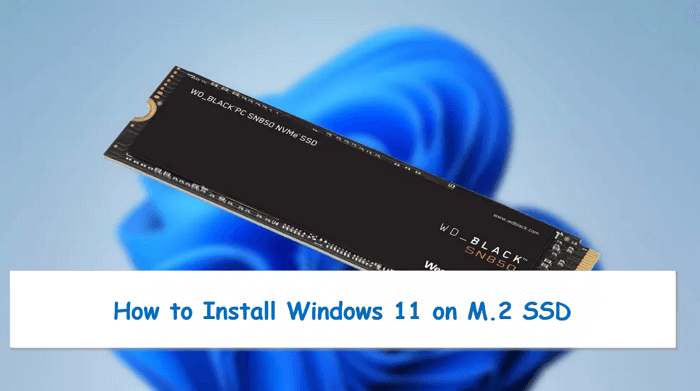 wie kann man windows 11 auf m.2 ssd installieren