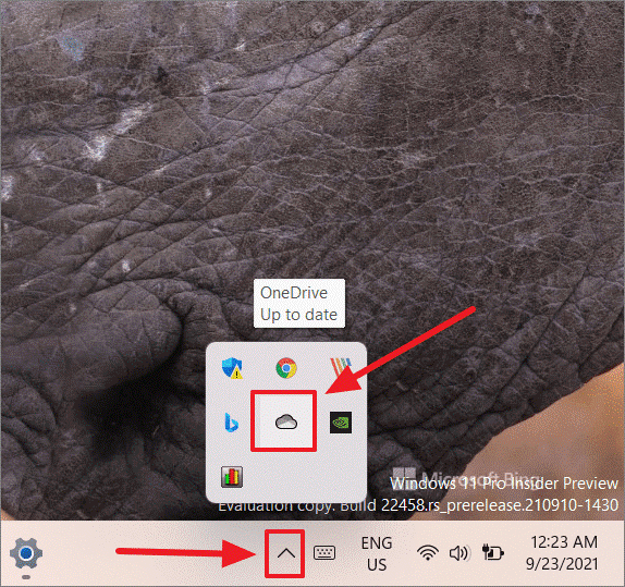 Beenden Sie die OneDrive-Sicherung