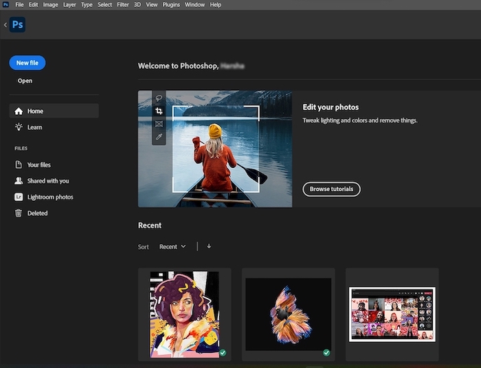 Adobe Photoshop von Windows 10 auf Windows 11 übertragen