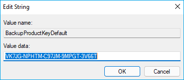 Produktschlüssel wird im Value Data angezeigt