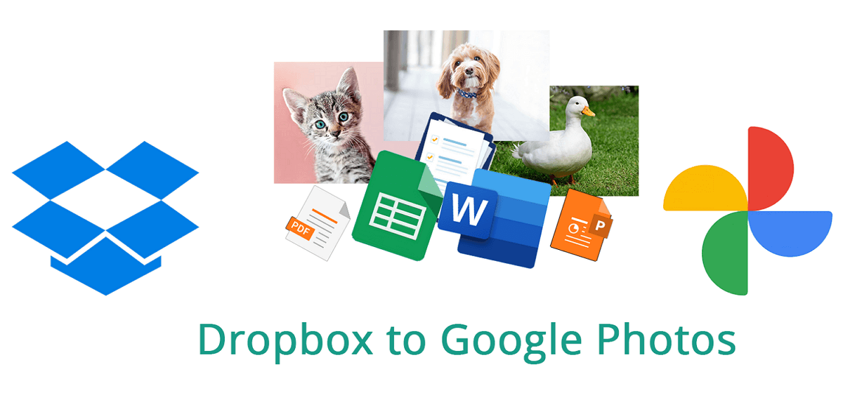 Übertragen Sie Dateien von Dropbox zu Google Fotos