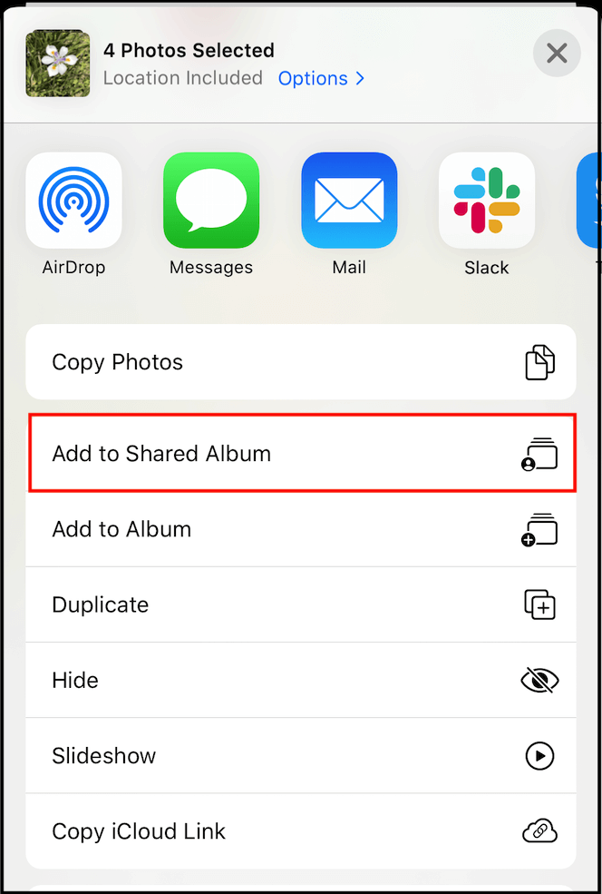 teilen Sie Fotos in einem freigegebenen Album