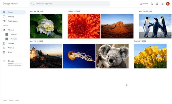geschnüffelte Fotos