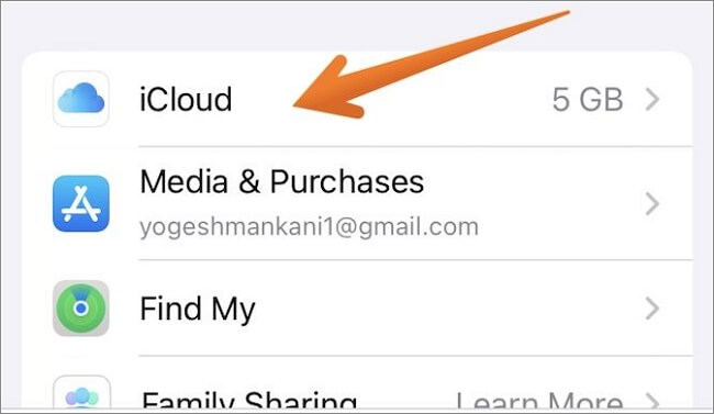 Tippen Sie auf die iCloud-Option