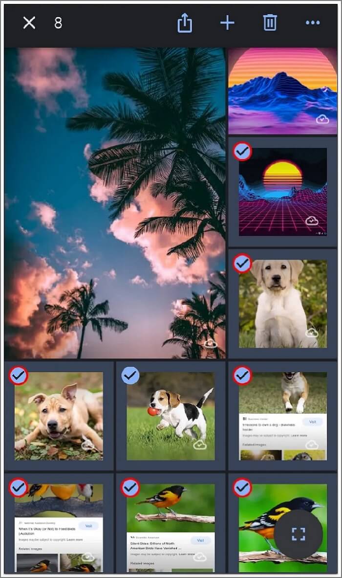 Übertragen Sie Fotos von Google Fotos auf iCloud auf dem iPhone Schritt 4