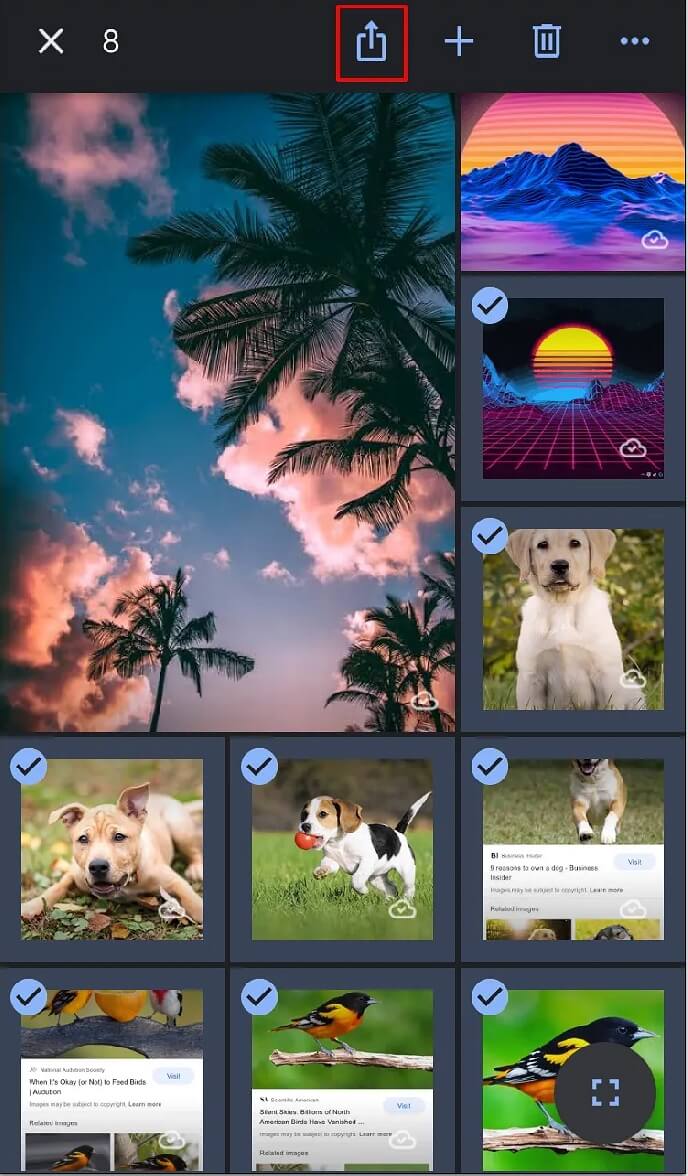 Übertragen Sie Fotos von Google Fotos auf iCloud auf dem iPhone Schritt 5