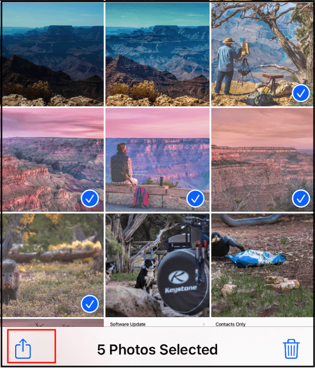 Fotos auswählen und teilen