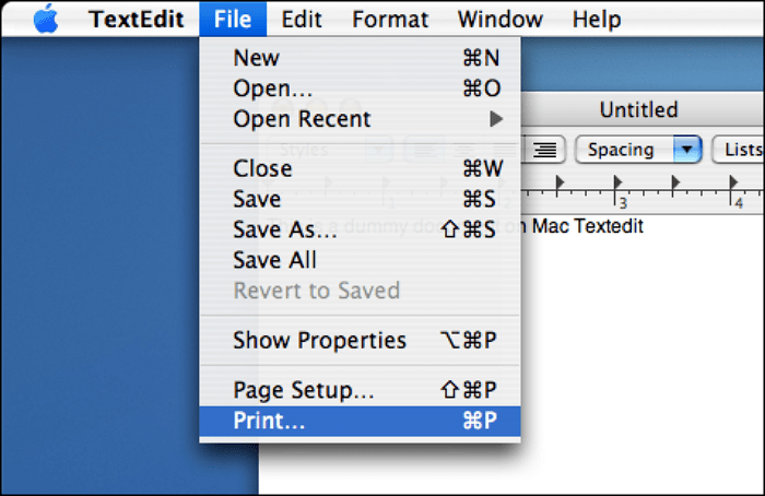 Textdatei auf dem Mac in eine PDF-Datei umwandeln - Drucken auswählen