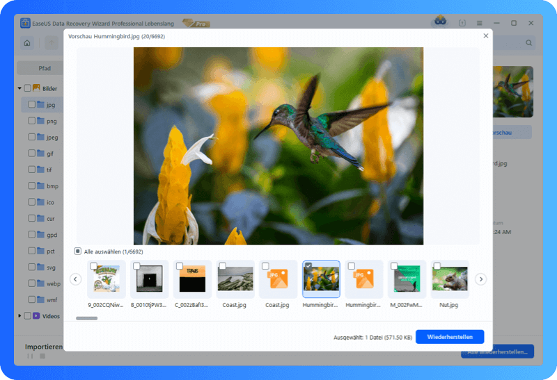 Vorschau und Datenwiederherstellung