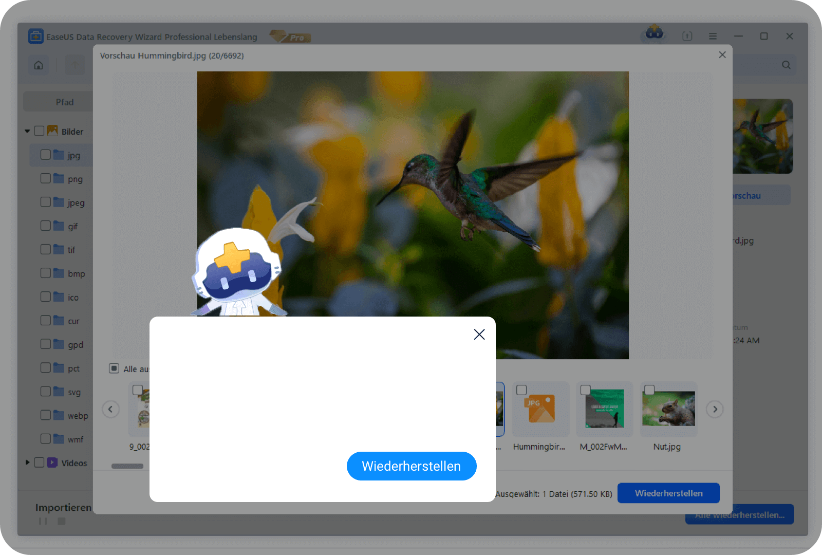 Vorschau und Daten wiederherstellen
