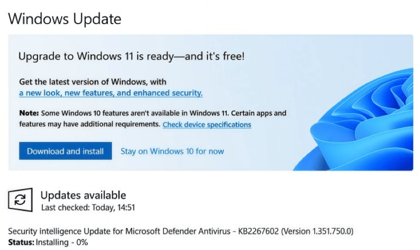 Windows 11 installieren
