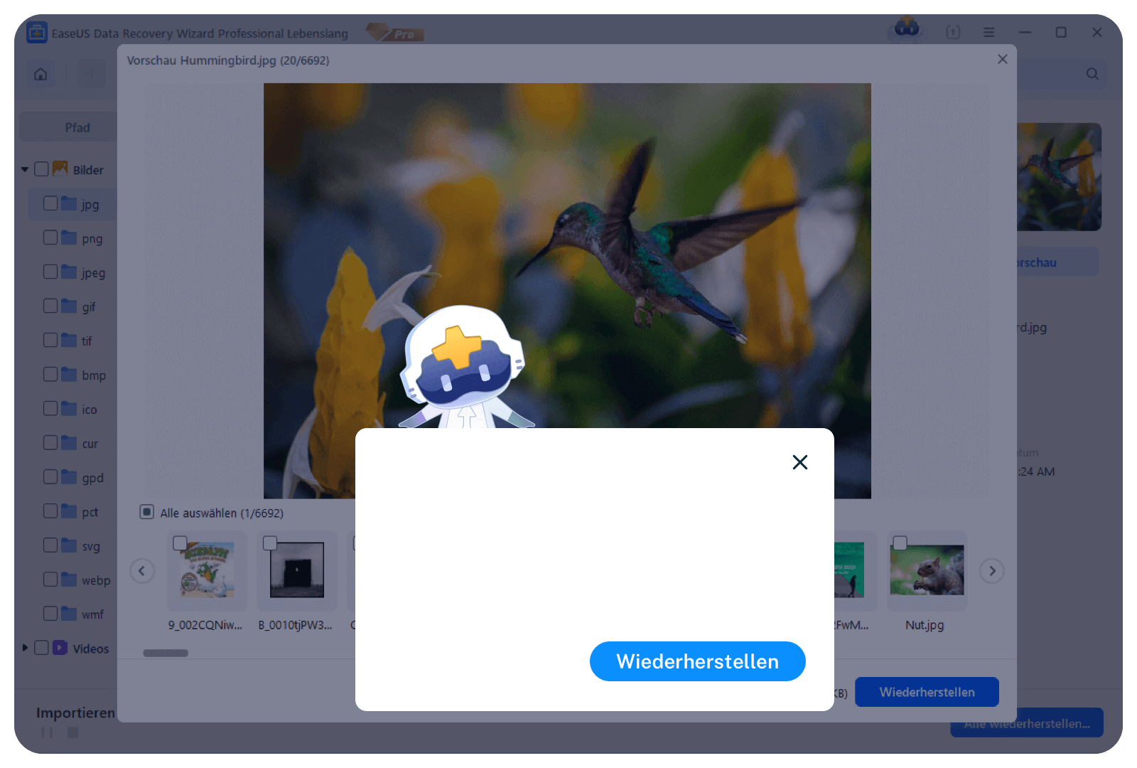 Vorschau und Wiederherstellung von Daten